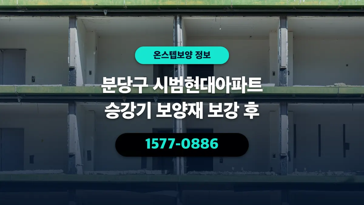 분당구 시범현대아파트 승강기 보양재 보강 후 - 온스텝보양