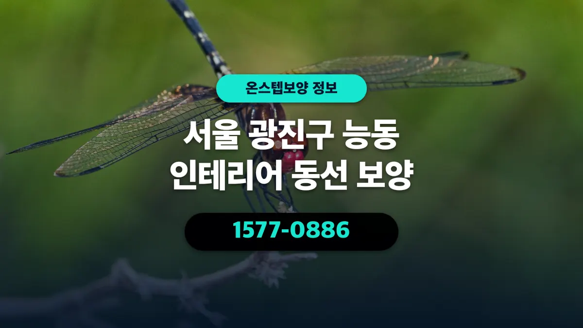 서울 광진구 능동 인테리어 동선 보양 - 온스텝보양
