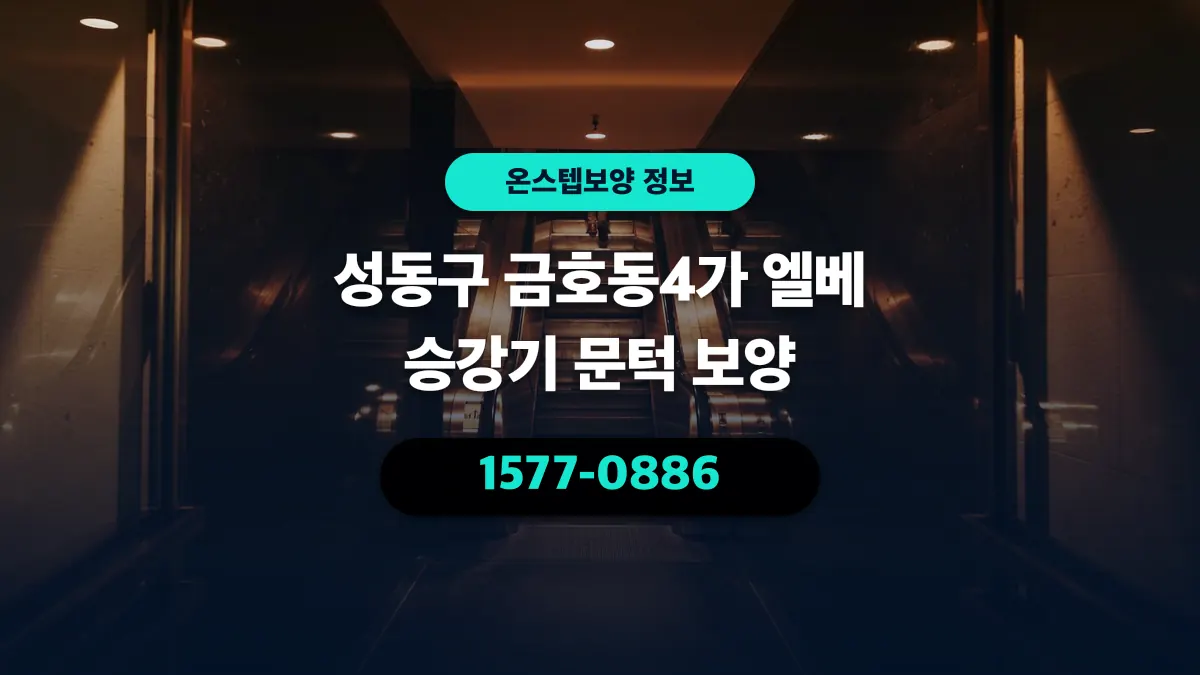 성동구 금호동4가 엘베 승강기 문턱 보양 - 온스텝보양