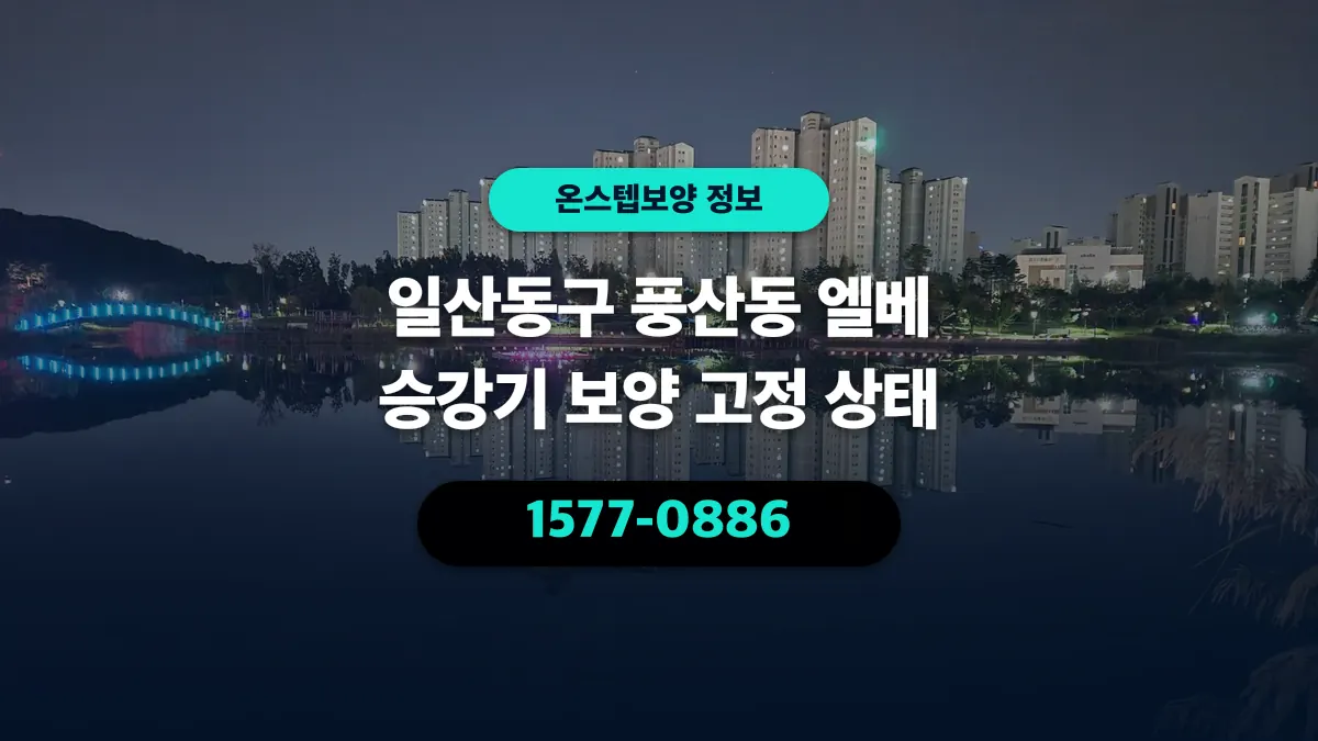 일산동구 풍산동 엘베 승강기 보양 고정 상태 - 온스텝보양