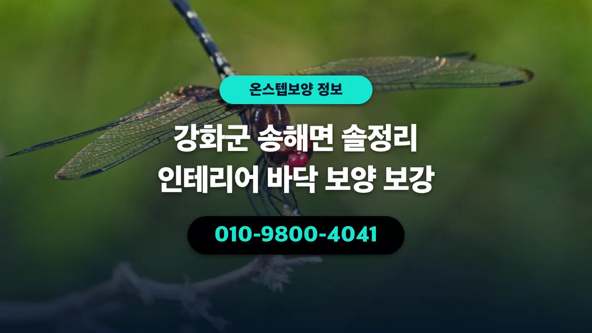강화군 송해면 솔정리 인테리어 바닥 보양 보강 - 온스텝보양