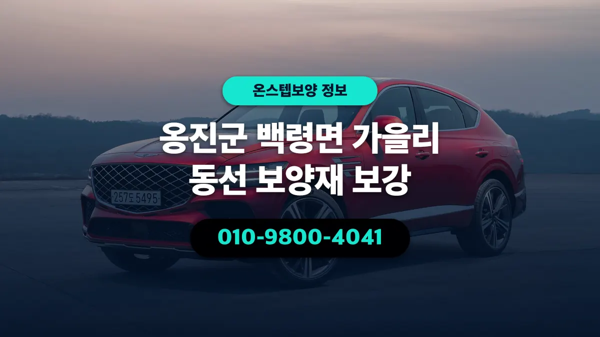옹진군 백령면 가을리 동선 보양재 보강 - 온스텝보양