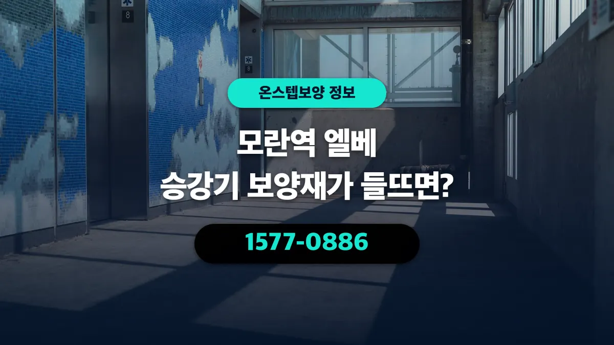 모란역 엘베 승강기 보양재가 들뜨면? - 온스텝보양