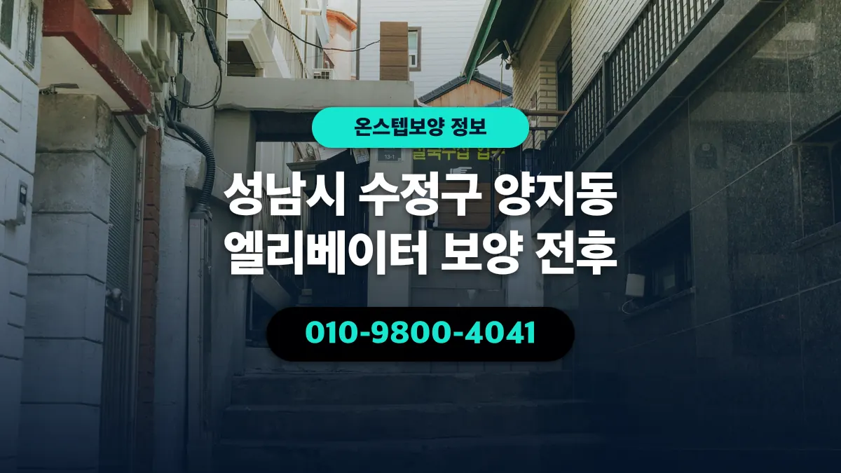 성남시 수정구 양지동 엘리베이터 보양 전후 - 온스텝보양