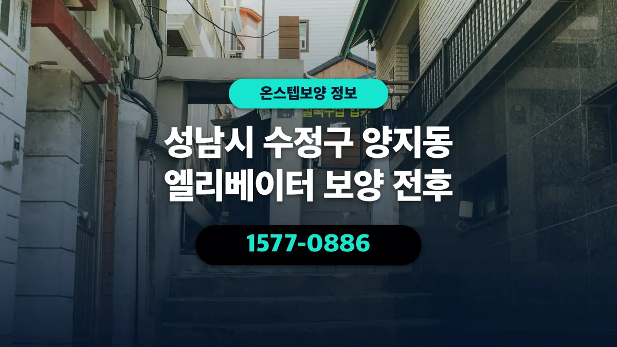 성남시 수정구 양지동 엘리베이터 보양 전후 - 온스텝보양