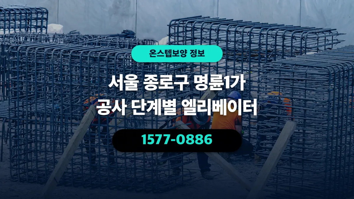 서울 종로구 명륜1가 공사 단계별 엘리베이터 - 온스텝보양