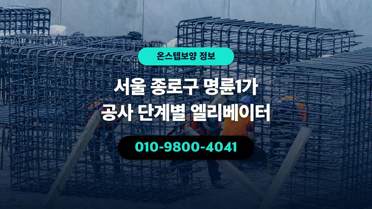 서울 종로구 명륜1가 공사 단계별 엘리베이터 - 온스텝보양