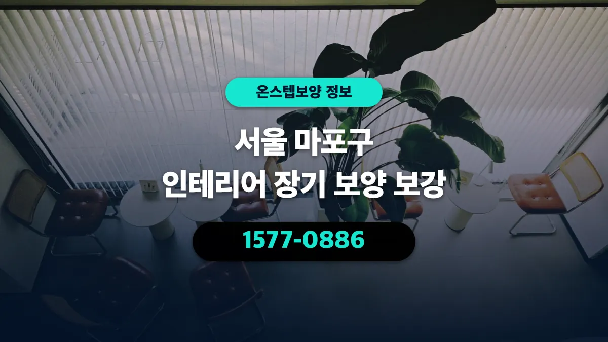 서울 마포구 인테리어 장기 보양 보강 - 온스텝보양