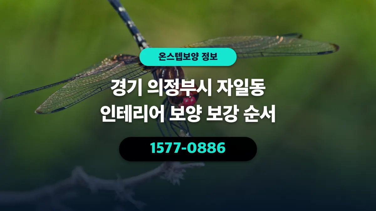 경기 의정부시 자일동 인테리어 보양 보강 순서 - 온스텝보양