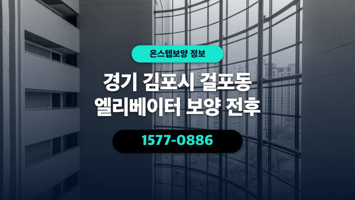 경기 김포시 걸포동 엘리베이터 보양 전후 - 온스텝보양
