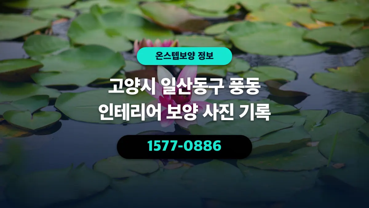 고양시 일산동구 풍동 인테리어 보양 사진 기록 - 온스텝보양