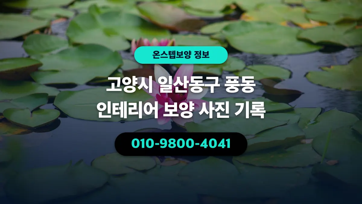 고양시 일산동구 풍동 인테리어 보양 사진 기록 - 온스텝보양