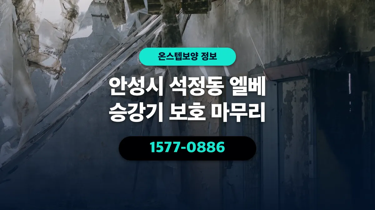 안성시 석정동 엘베 승강기 보호 마무리 - 온스텝보양