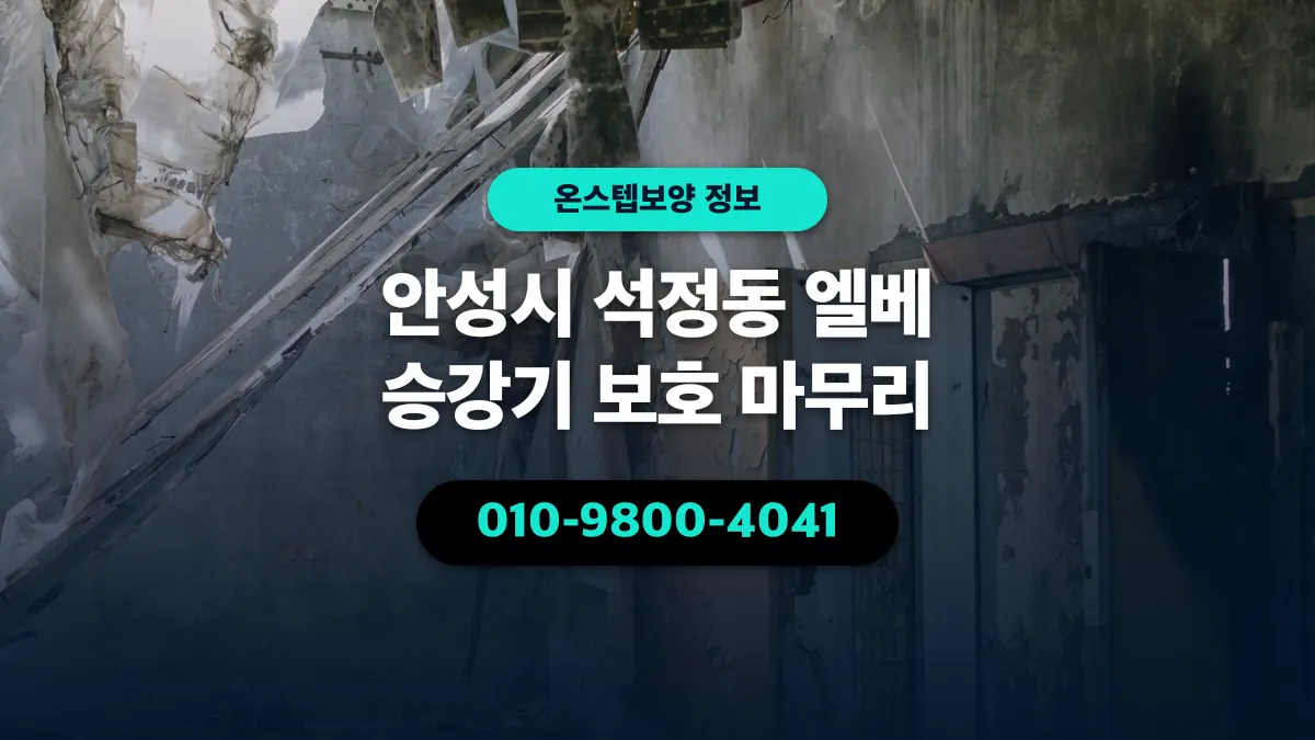 안성시 석정동 엘베 승강기 보호 마무리 - 온스텝보양