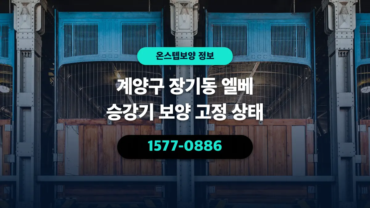 계양구 장기동 엘베 승강기 보양 고정 상태 - 온스텝보양