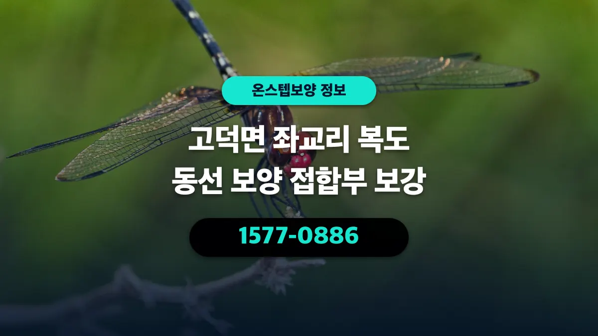 고덕면 좌교리 복도 동선 보양 접합부 보강 - 온스텝보양