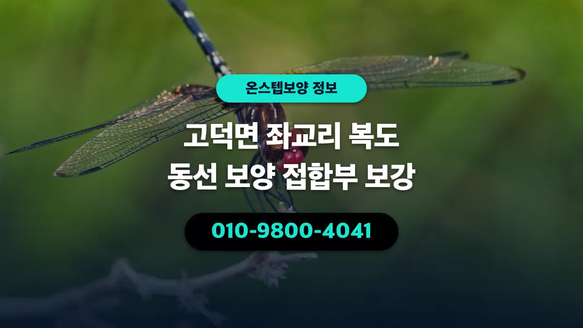 고덕면 좌교리 복도 동선 보양 접합부 보강 - 온스텝보양