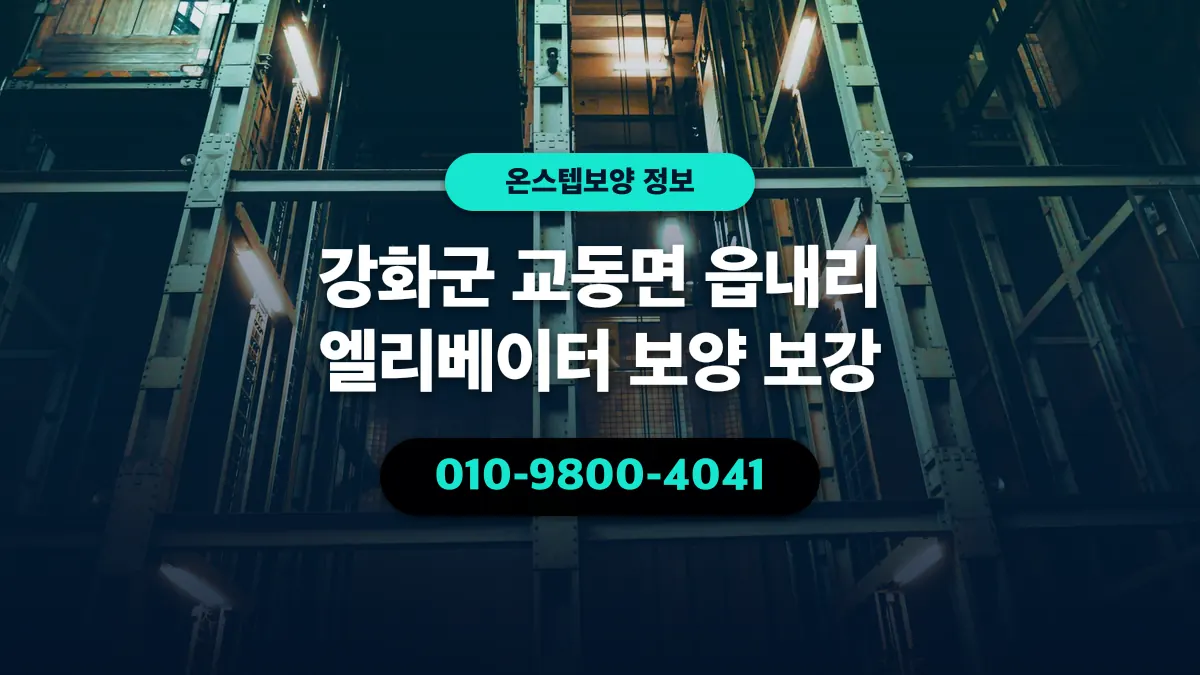 강화군 교동면 읍내리 엘리베이터 보양 보강 - 온스텝보양