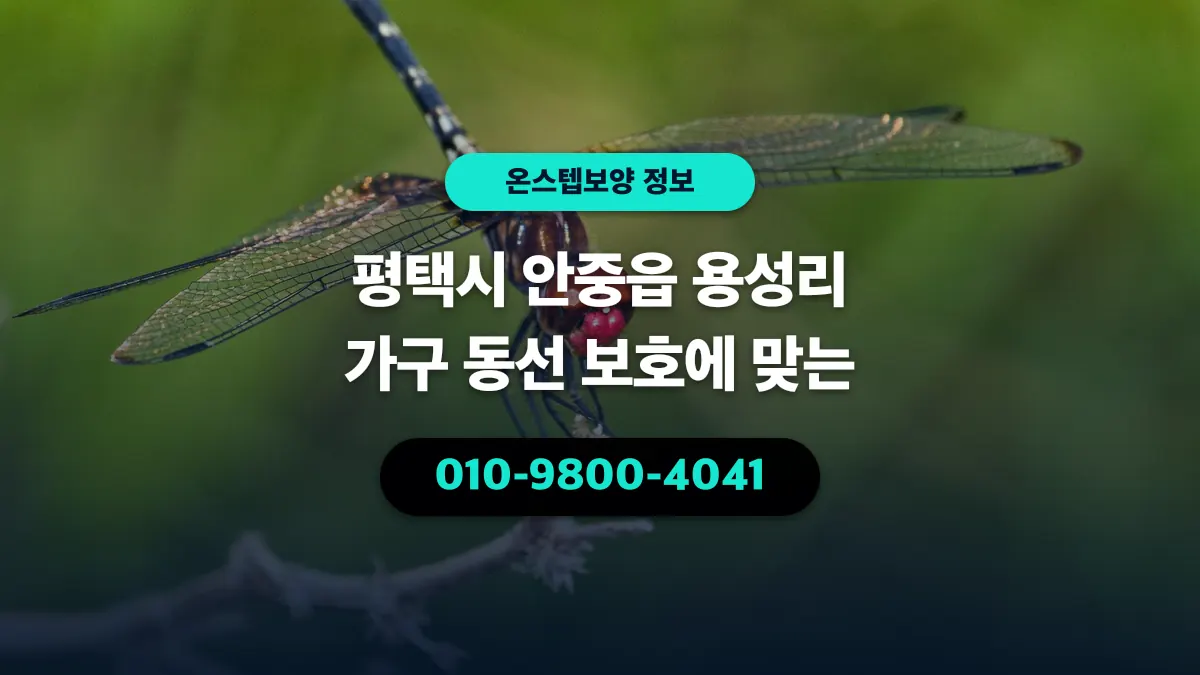 평택시 안중읍 용성리 가구 동선 보호에 맞는 - 온스텝보양