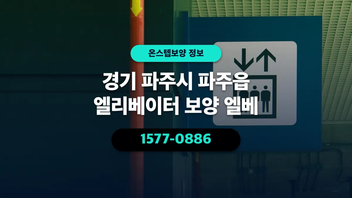 경기 파주시 파주읍 엘리베이터 보양 엘베 - 온스텝보양