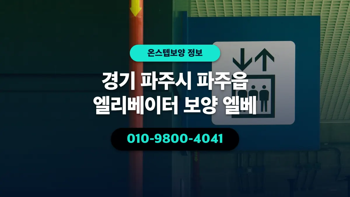 경기 파주시 파주읍 엘리베이터 보양 엘베 - 온스텝보양