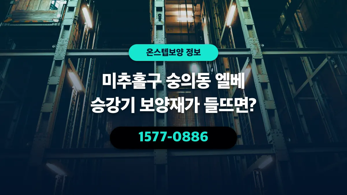 미추홀구 숭의동 엘베 승강기 보양재가 들뜨면? - 온스텝보양