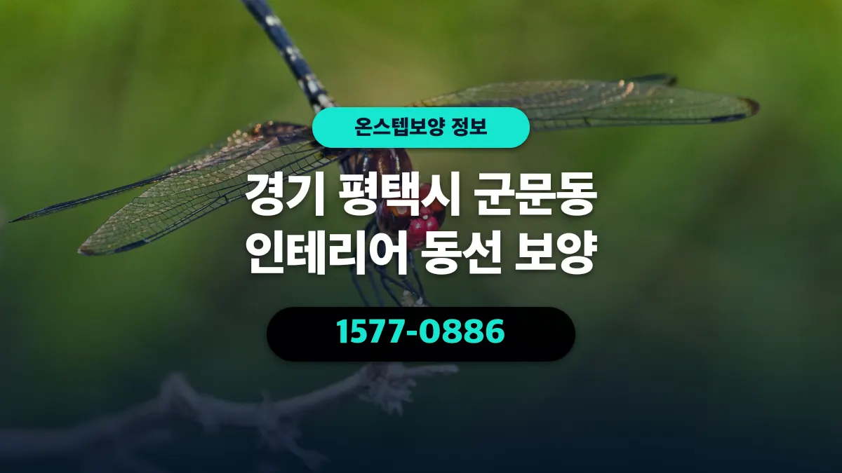 경기 평택시 군문동 인테리어 동선 보양 - 온스텝보양