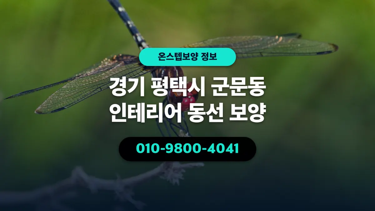 경기 평택시 군문동 인테리어 동선 보양 - 온스텝보양