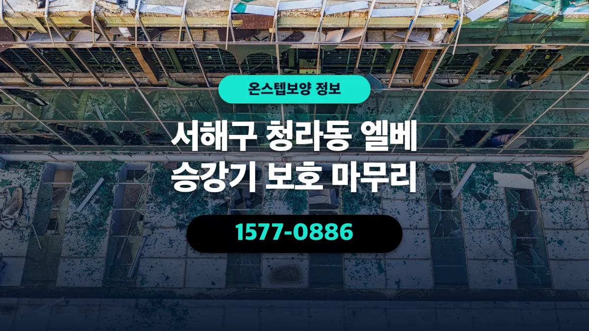 서해구 청라동 엘베 승강기 보호 마무리 - 온스텝보양