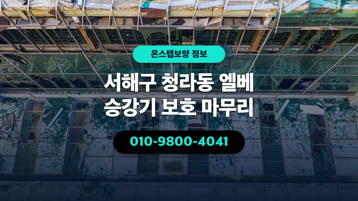 서해구 청라동 엘베 승강기 보호 마무리 - 온스텝보양