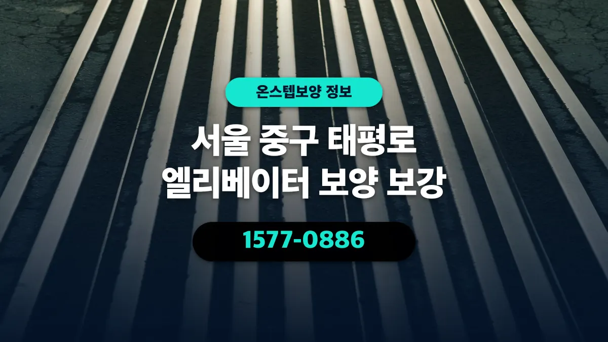 서울 중구 태평로 엘리베이터 보양 보강 - 온스텝보양