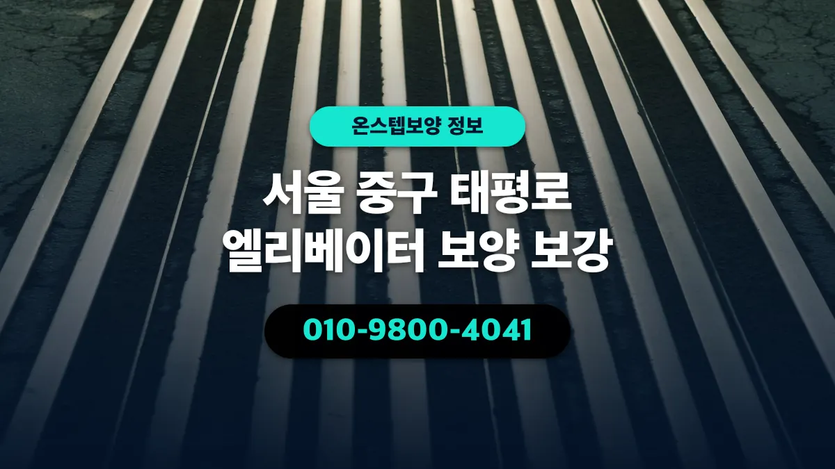 서울 중구 태평로 엘리베이터 보양 보강 - 온스텝보양