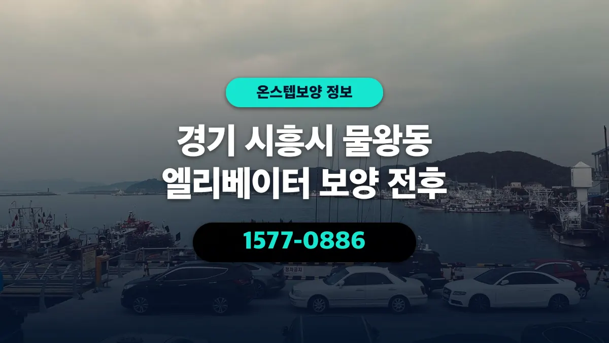 경기 시흥시 물왕동 엘리베이터 보양 전후 - 온스텝보양