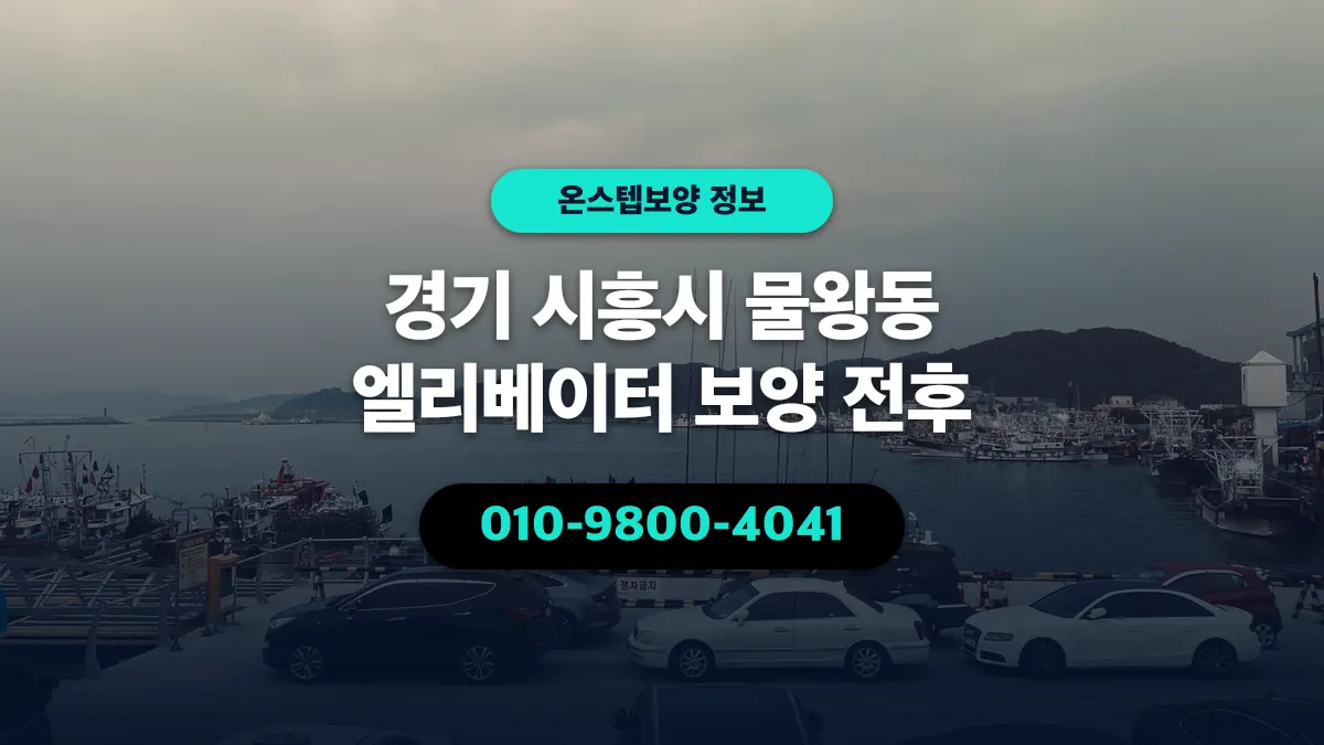 경기 시흥시 물왕동 엘리베이터 보양 전후 - 온스텝보양