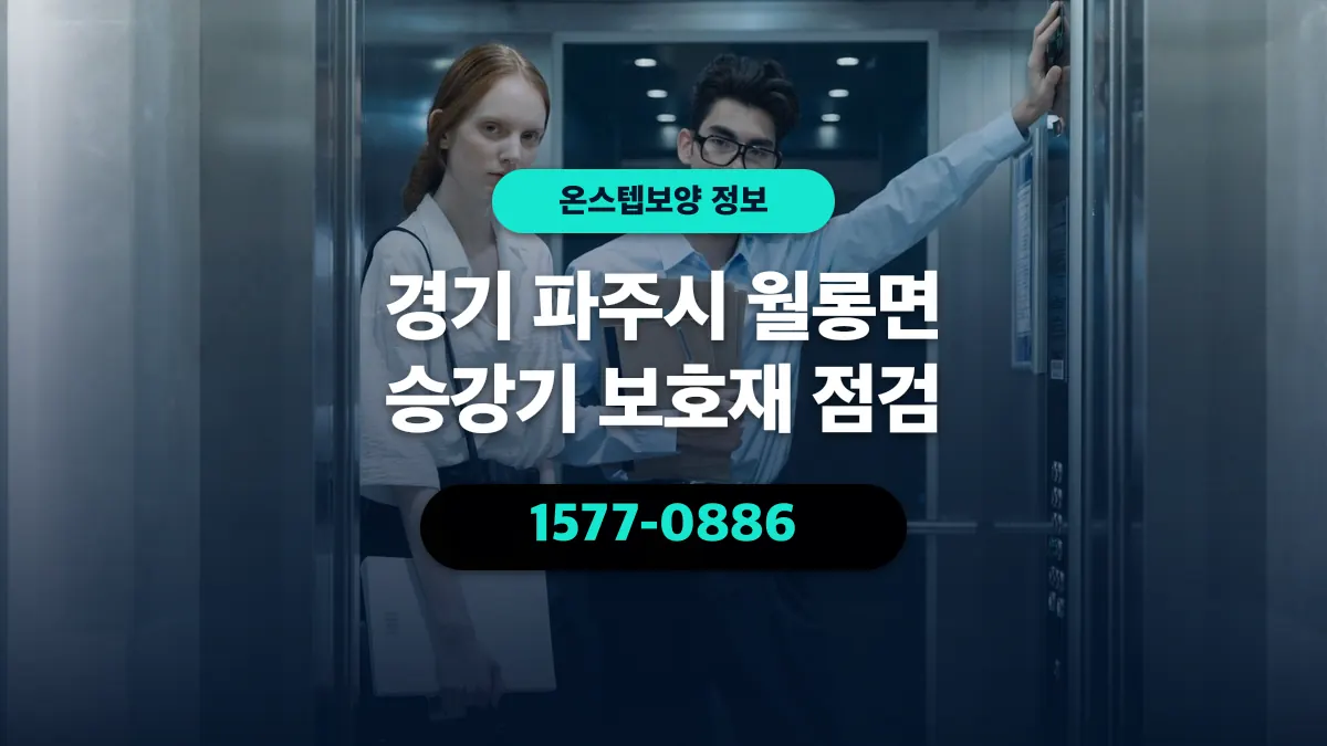 경기 파주시 월롱면 승강기 보호재 점검 - 온스텝보양