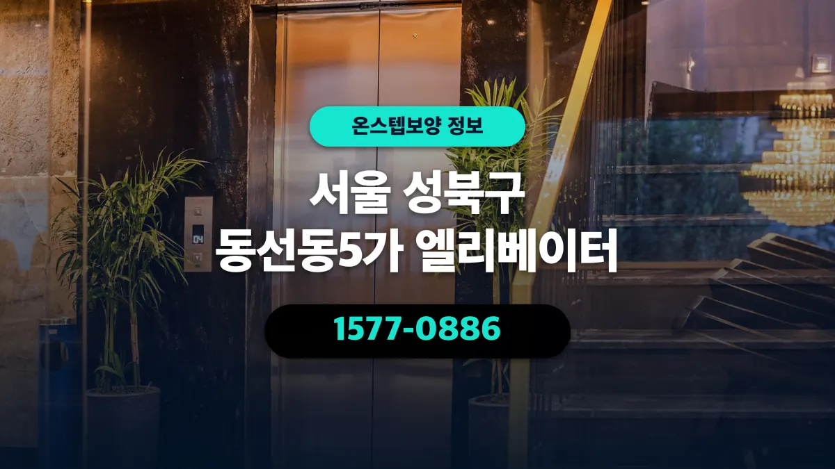 서울 성북구 동선동5가 엘리베이터 - 온스텝보양