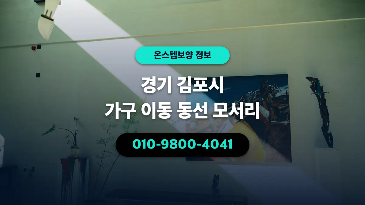 경기 김포시 가구 이동 동선 모서리 - 온스텝보양