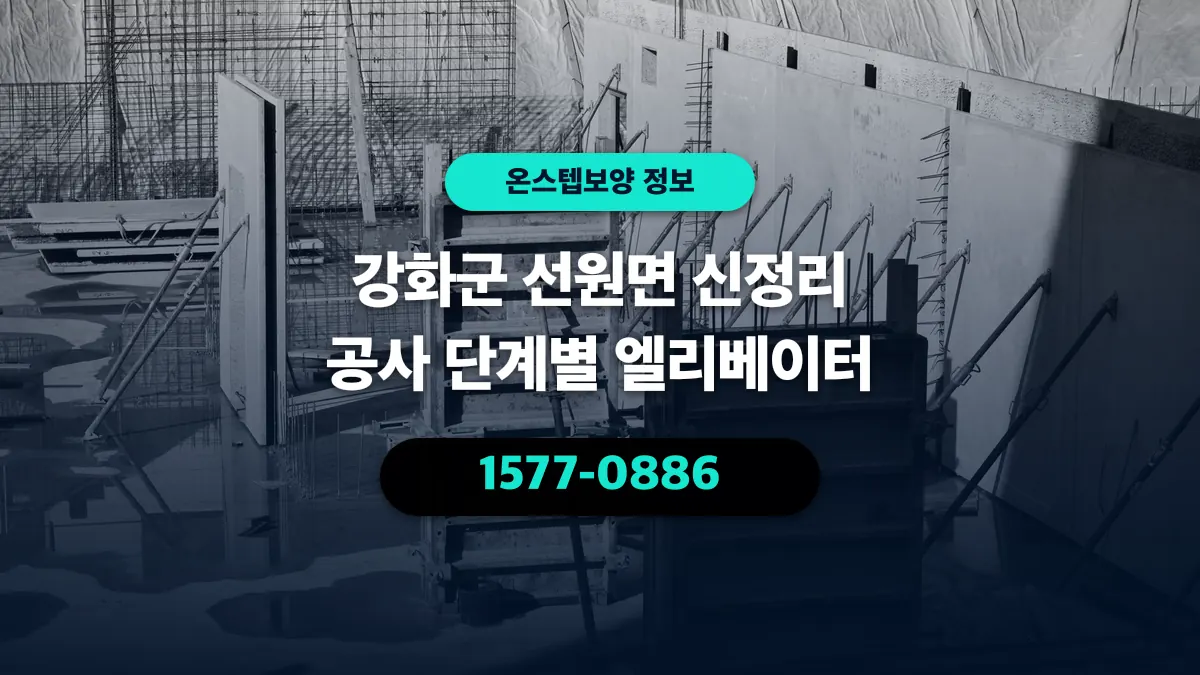 강화군 선원면 신정리 공사 단계별 엘리베이터 - 온스텝보양