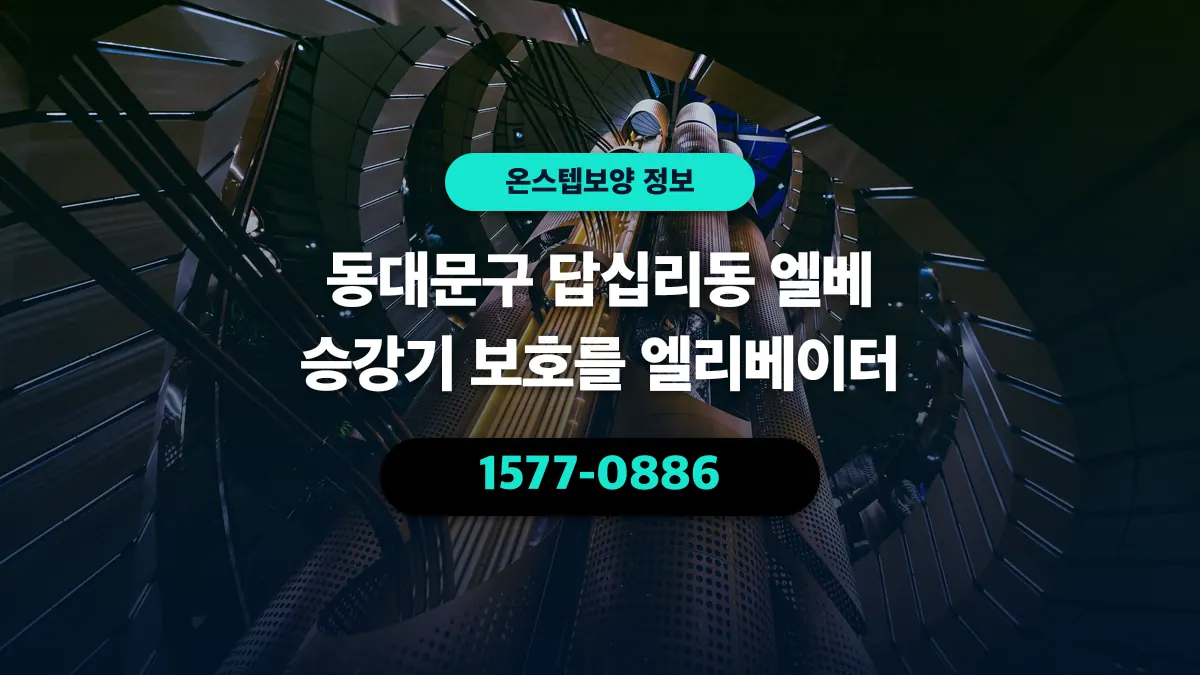동대문구 답십리동 엘베 승강기 보호를 엘리베이터 - 온스텝보양