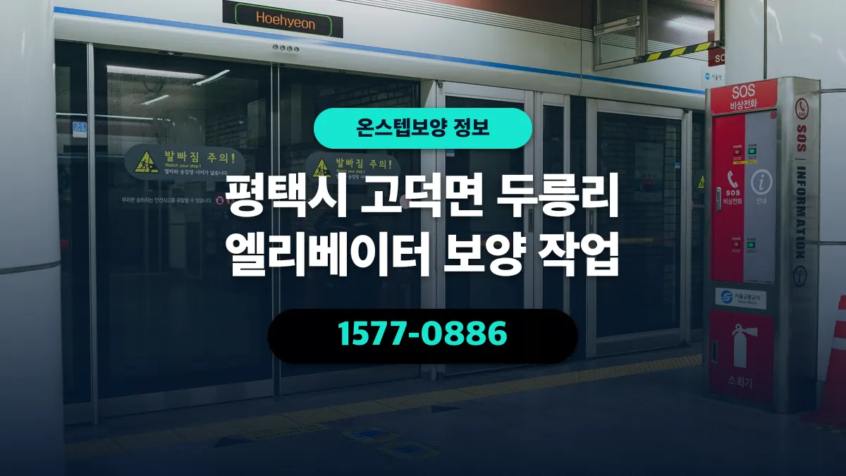 평택시 고덕면 두릉리 엘리베이터 보양 작업 - 온스텝보양