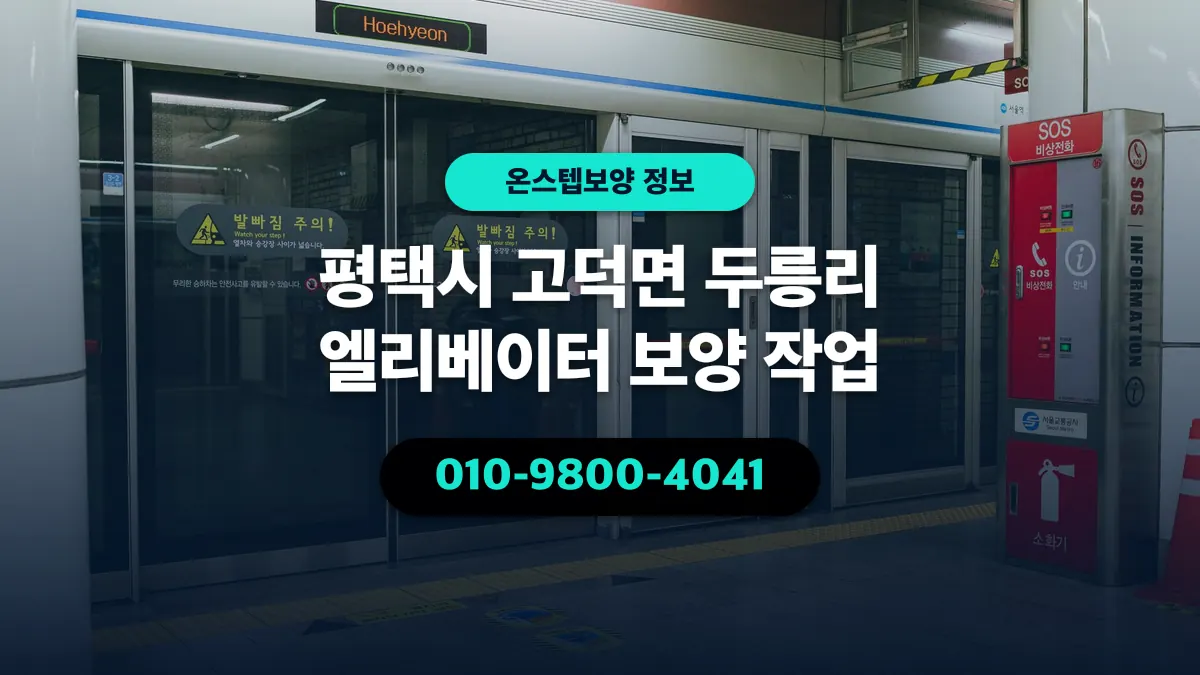 평택시 고덕면 두릉리 엘리베이터 보양 작업 - 온스텝보양