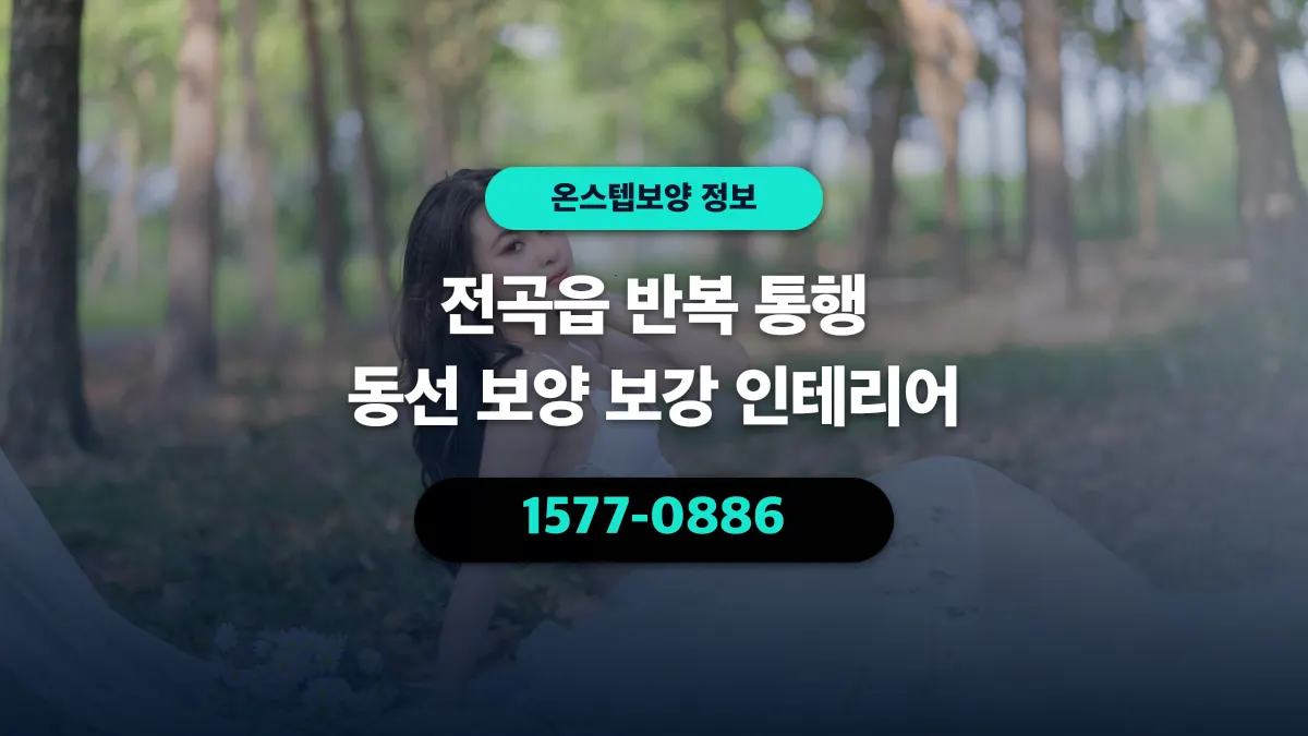 전곡읍 반복 통행 동선 보양 보강 인테리어 - 온스텝보양