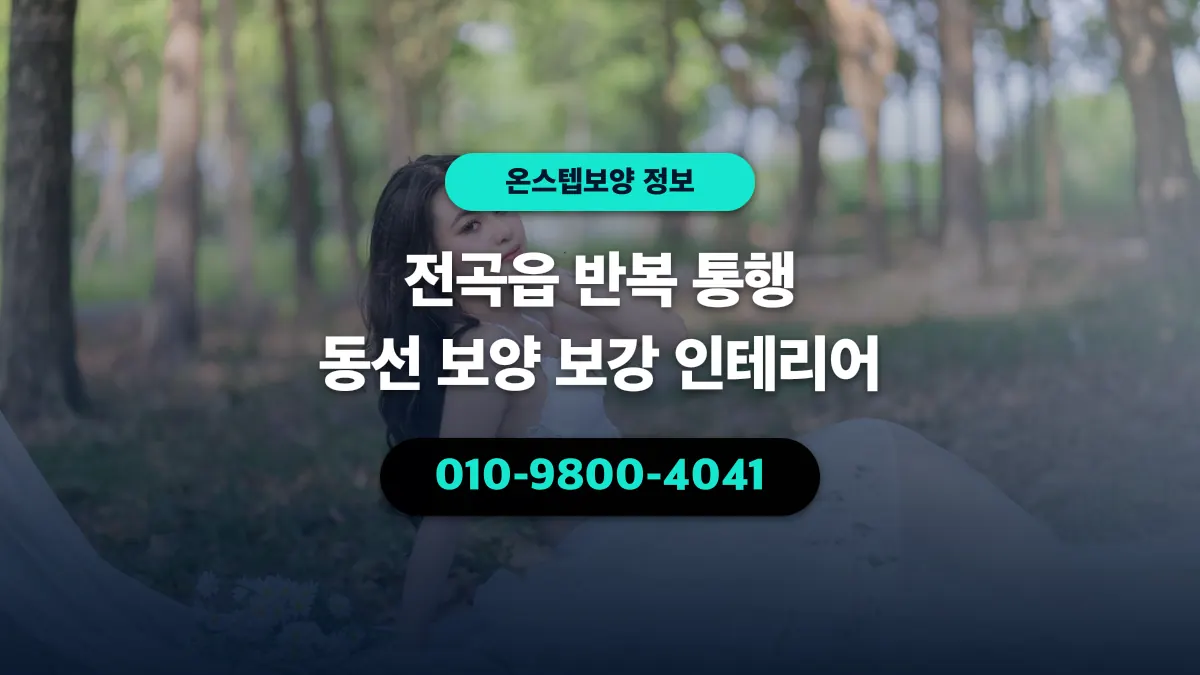 전곡읍 반복 통행 동선 보양 보강 인테리어 - 온스텝보양