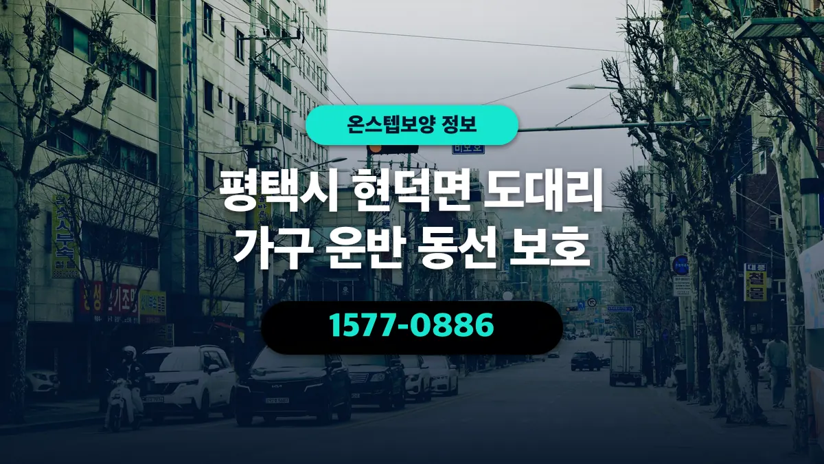 평택시 현덕면 도대리 가구 운반 동선 보호 - 온스텝보양