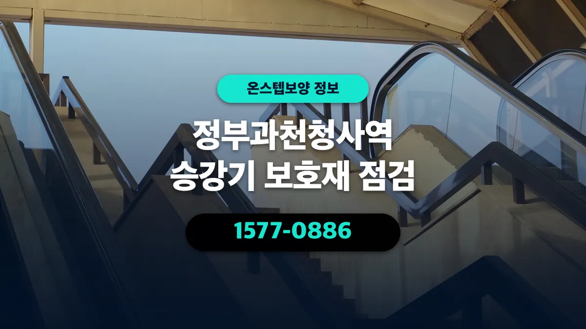 정부과천청사역 승강기 보호재 점검 - 온스텝보양