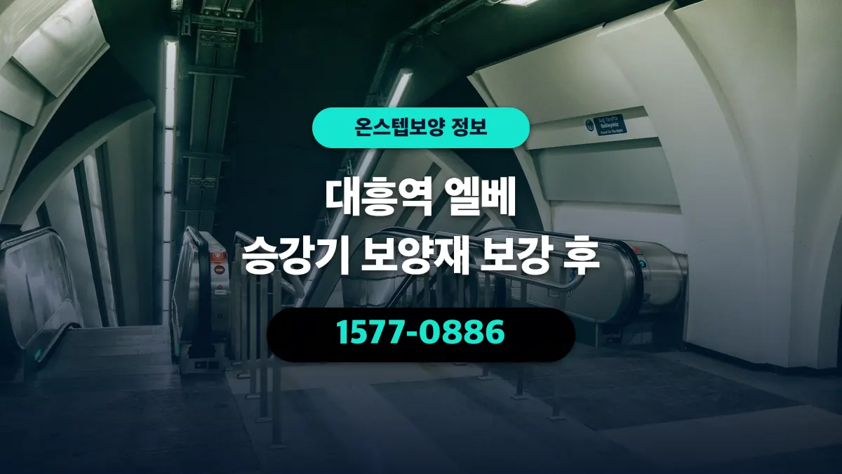 대흥역 엘베 승강기 보양재 보강 후 - 온스텝보양
