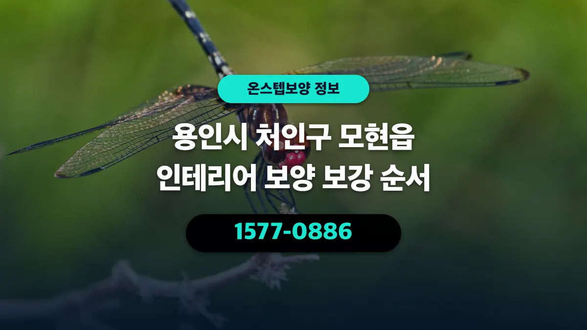용인시 처인구 모현읍 인테리어 보양 보강 순서 - 온스텝보양