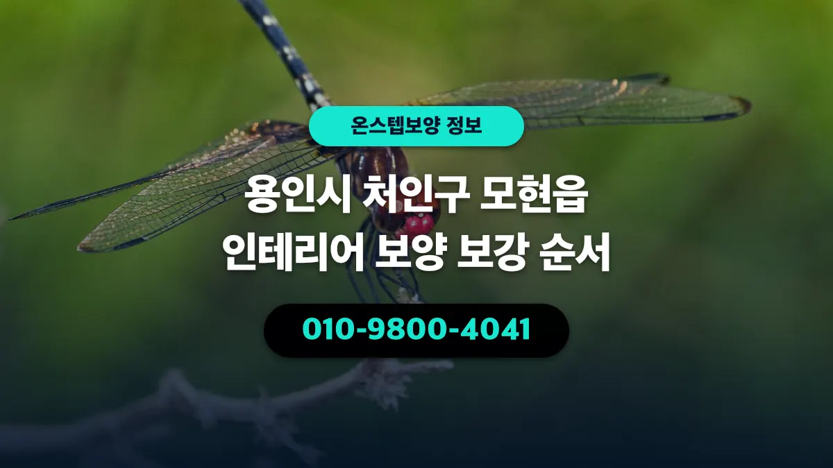 용인시 처인구 모현읍 인테리어 보양 보강 순서 - 온스텝보양