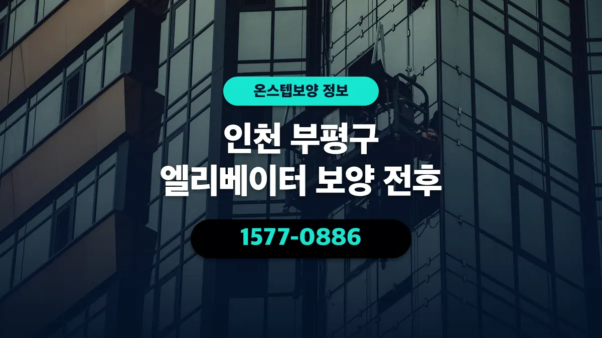 인천 부평구 엘리베이터 보양 전후 - 온스텝보양
