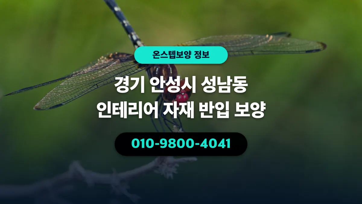 경기 안성시 성남동 인테리어 자재 반입 보양 - 온스텝보양